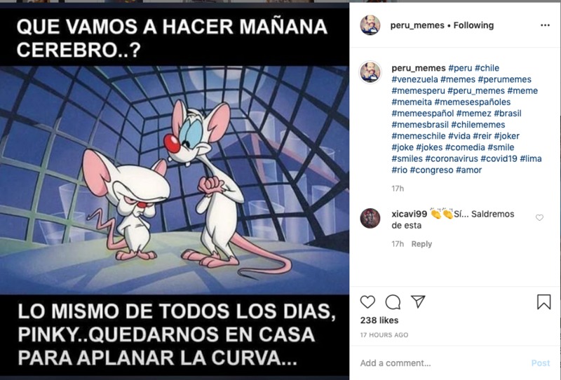 A screenshot of two cartoon mice (The Pinky and the Brain) with Spanish wording around it. 