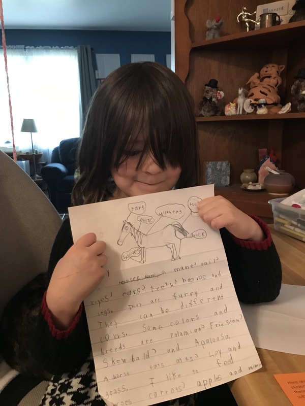 A kid with long brown hair covering their eyes holding up a drawn picture of a horse that has signs pointing to which body parts are which. Underneath the picture of the horse is a paragraph about the horse. 