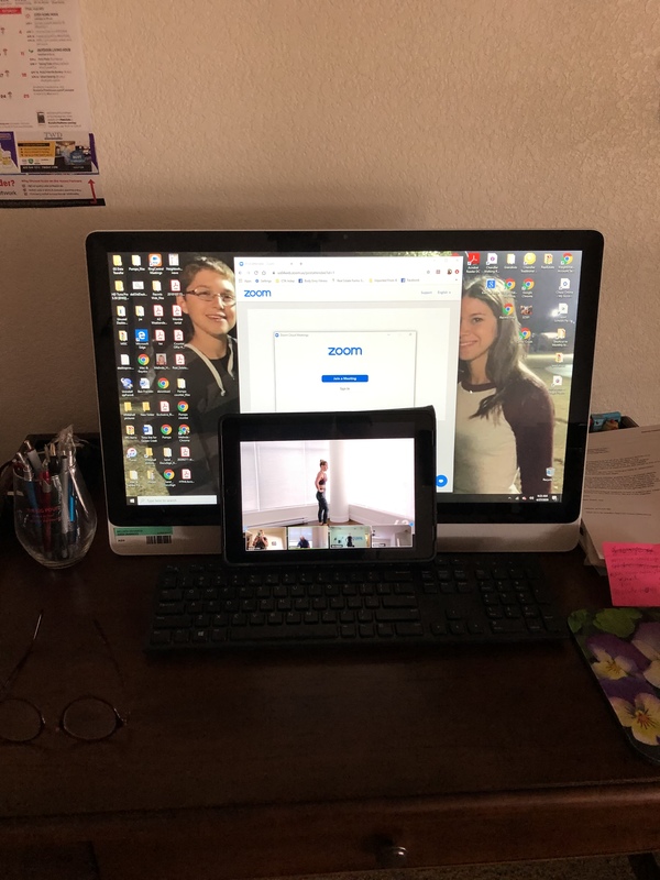 Multiple people in a zoom meeting standing up. 