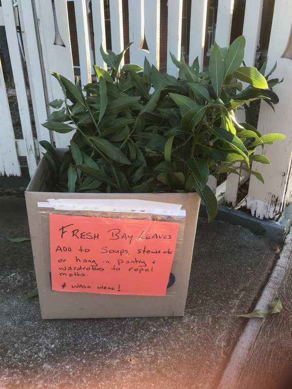 A box of herbs. 