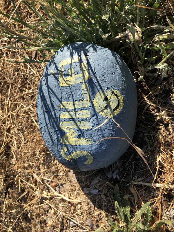This is a picture of a rock that has been painted blue and yellow.