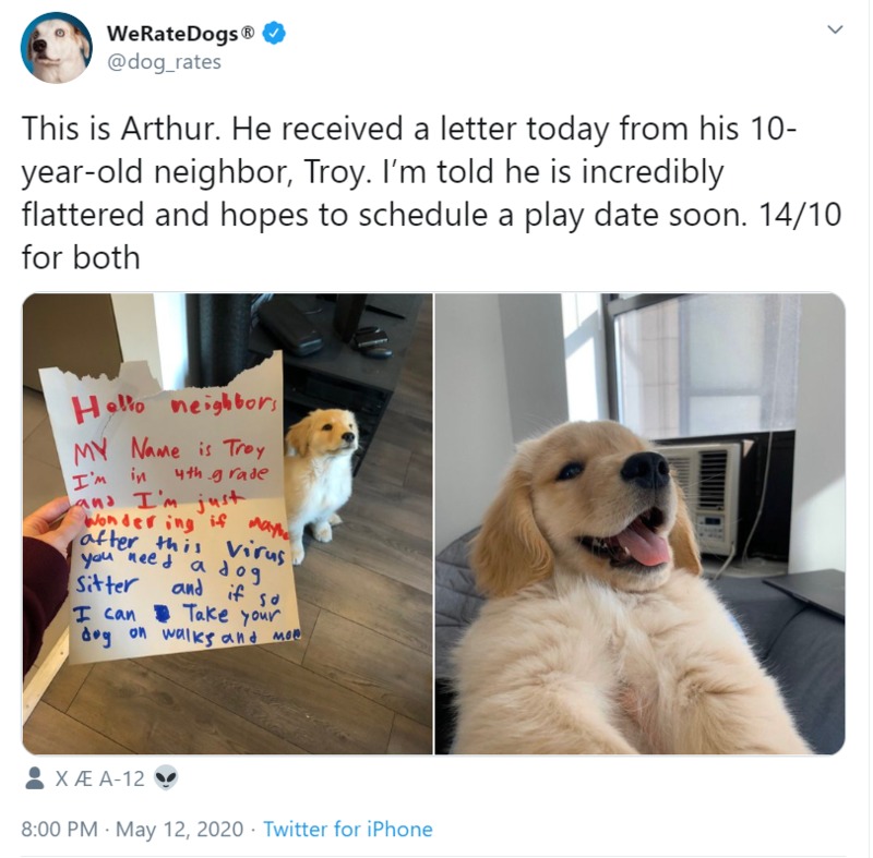 A tweet showing a picture of a dog and a letter from the dog owner's neighbor offering to walk the dog or dog-sit after the pandemic.