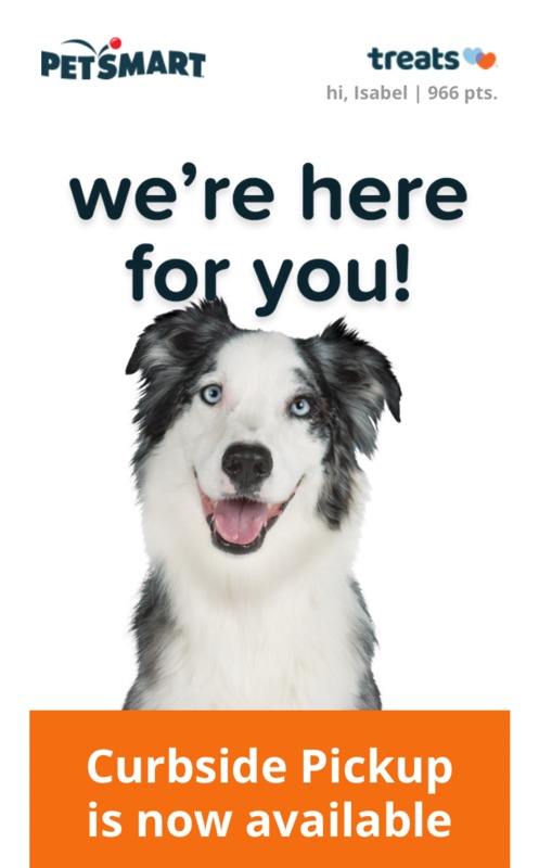 A screenshot of an email.