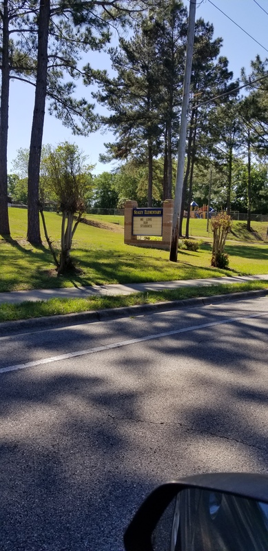 A school sign on the side of a road. 