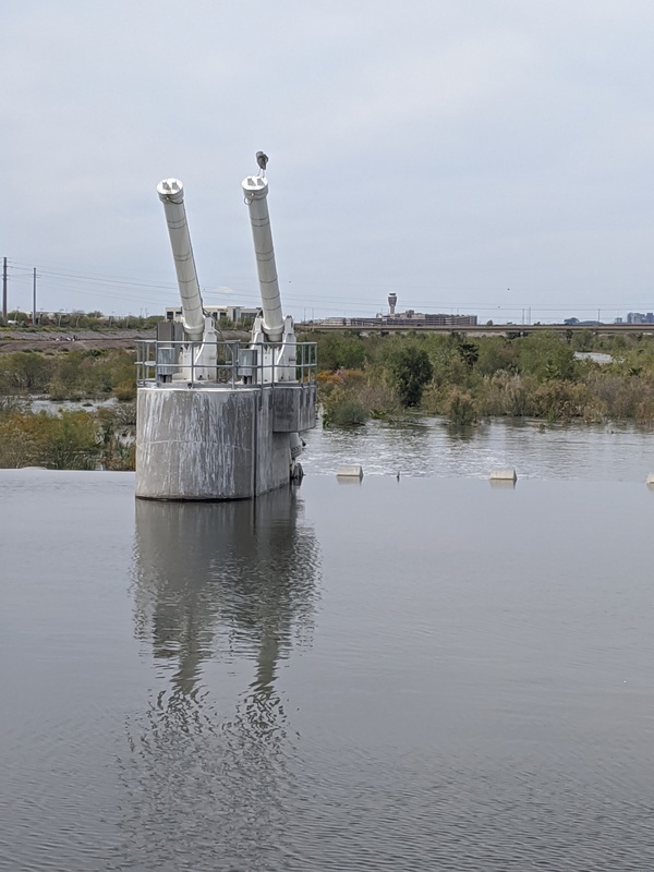 A bird is sitting on top of an hydraulic arm support in the middle of Tempe town lake dam in Arizona.