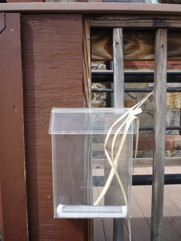 Palms in a plastic box. 