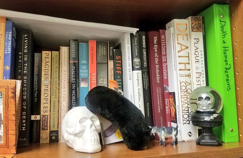 A bookshelf that has multiple books on plagues and death. In front of the books on the shelf has statues of a white skull, a figurine of a goat, and another skull that is inside of a snow globe.