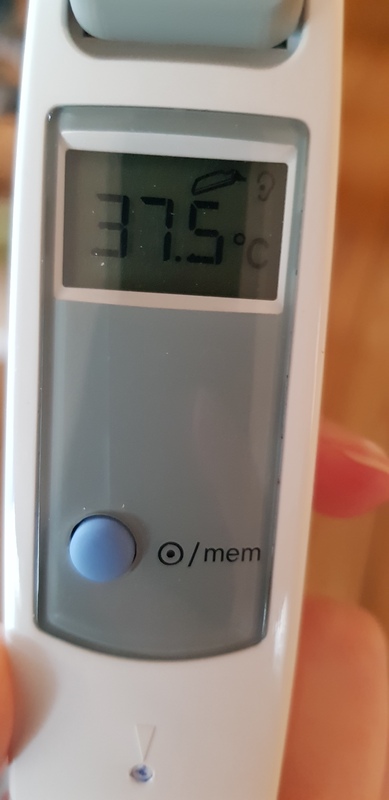 A picture of a thermometer, which reads "37.5 C".