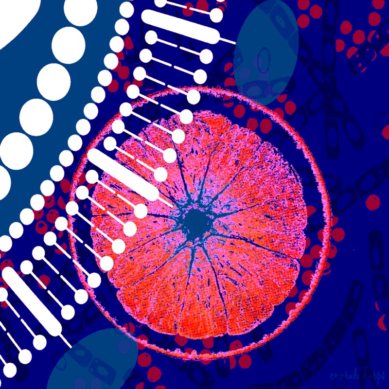 A red, blue, and white art piece that has various DNA shapes.