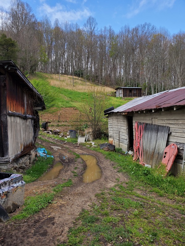 Two houses with hills and trees in the background.