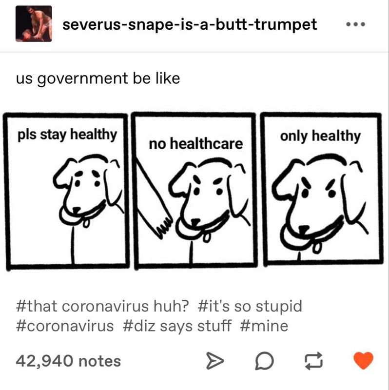 A screenshot of a post on Tumblr.