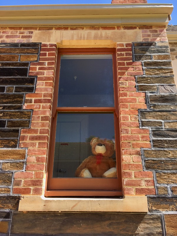 A brown teddy bear that was placed in a museum window.
