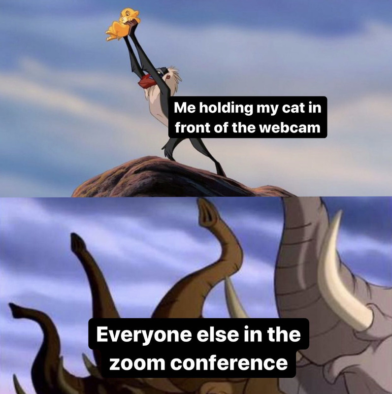 Lion King meme.