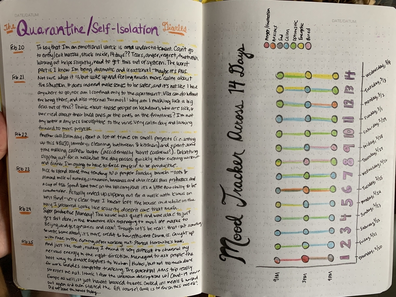 journal of a persons personal week in self isolation