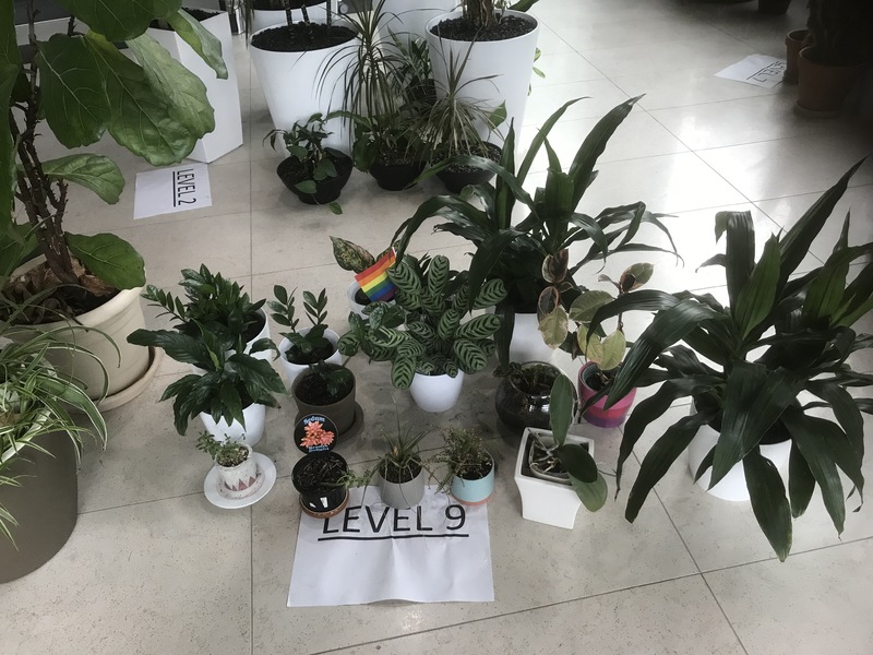 Potted plants on the floor.