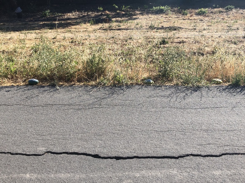 This is a picture of a cracked portion of asphalt.