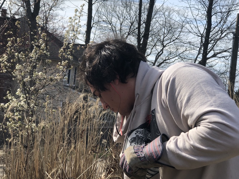 A person doing yard work in a yard. The person has red headphones on.