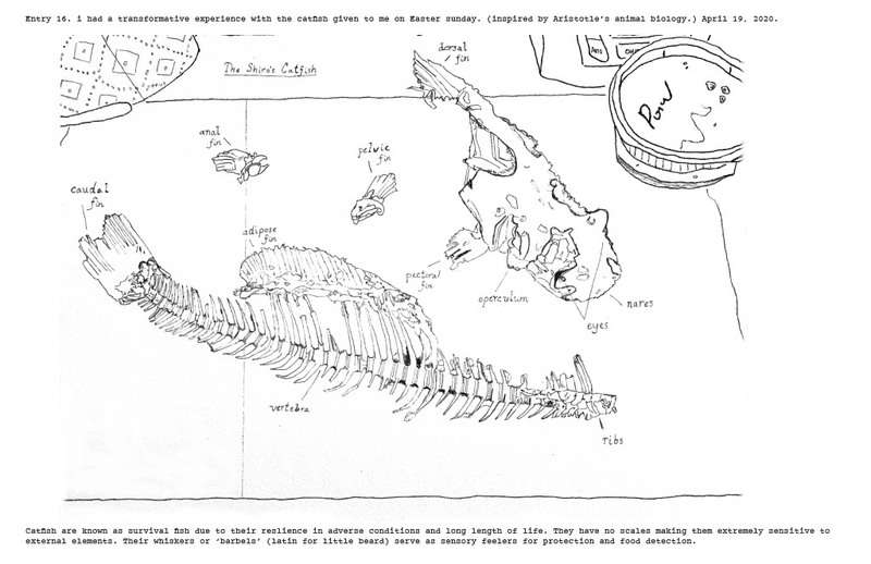Drawing of a fish skeleton. 