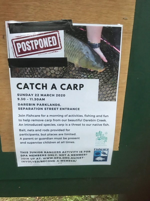 A piece of paper taped onto a sign that is about an event titled "Catch A Carp" that has the words "Postponed" taped at the left corner.