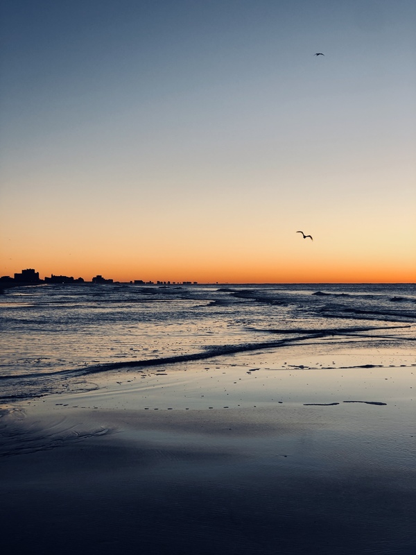 A beach with a seagull flying in front of a dark blue sky.