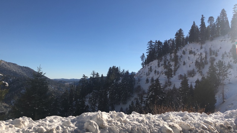 This is a picture taken of a forested hillside covered in snow during the daylight hours. 