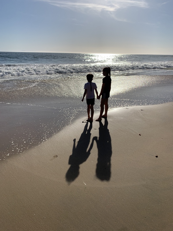This is a picture of two young children holding hands at the beach, and staring out into the ocean.
