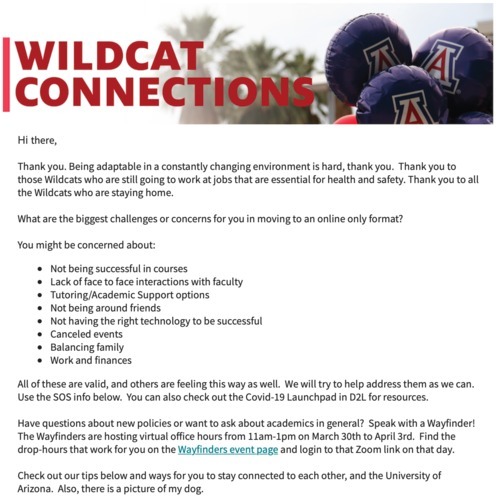 University of Arizona email titled, "Wildcat Connections." Summary of text in email screenshot discusses concerns of shifting to an online platform, validation of concerns, and ways in which to contact the university with further questions or concerns. Email concludes with text, "Check out our tips below and ways for you to stay connected to each other, and the University of Arizona. Also, there is a picture of my dog." Picture of the dog is not in email screenshot.