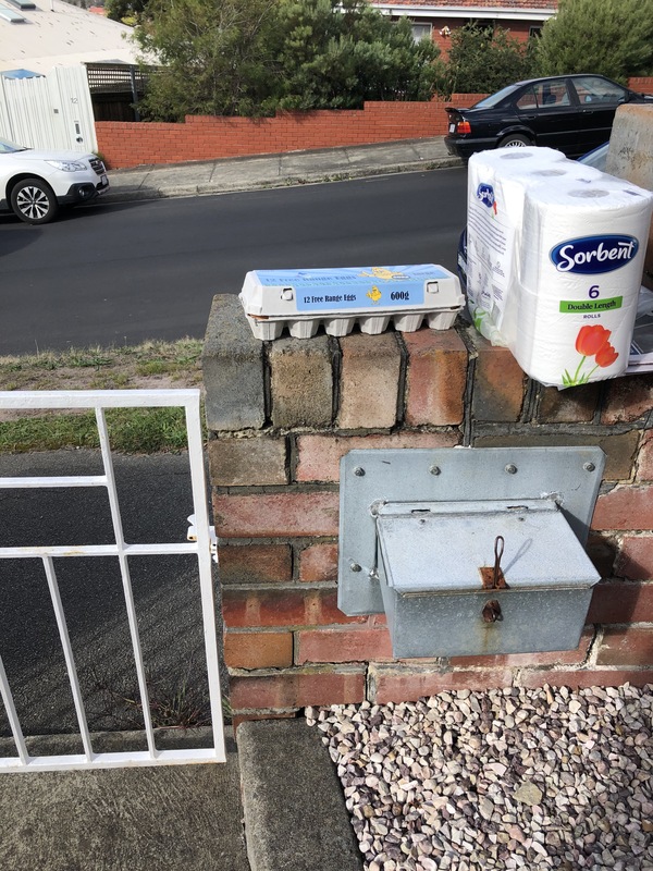 A carton of eggs and toilet paper sitting on a brick wall.
