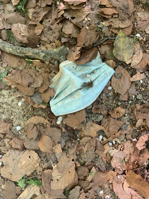 A paper mask buried underneath dirt and leaves.