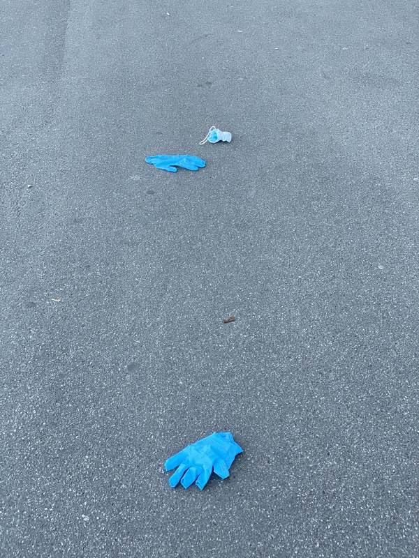 Two gloves and one mask on the ground.