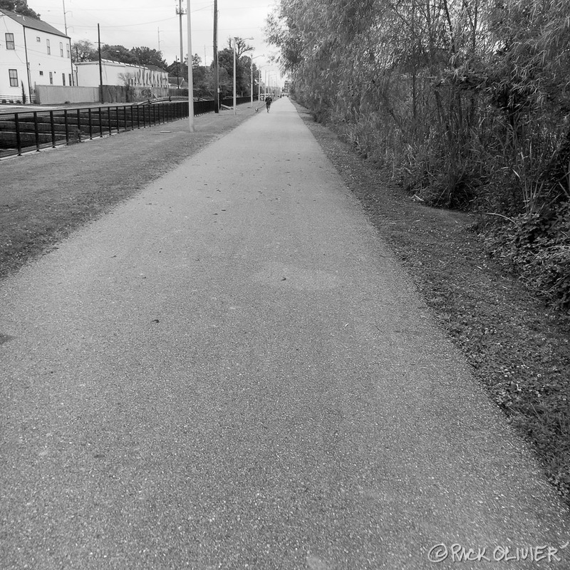 A trail with concrete pavement with one person running with a dog.