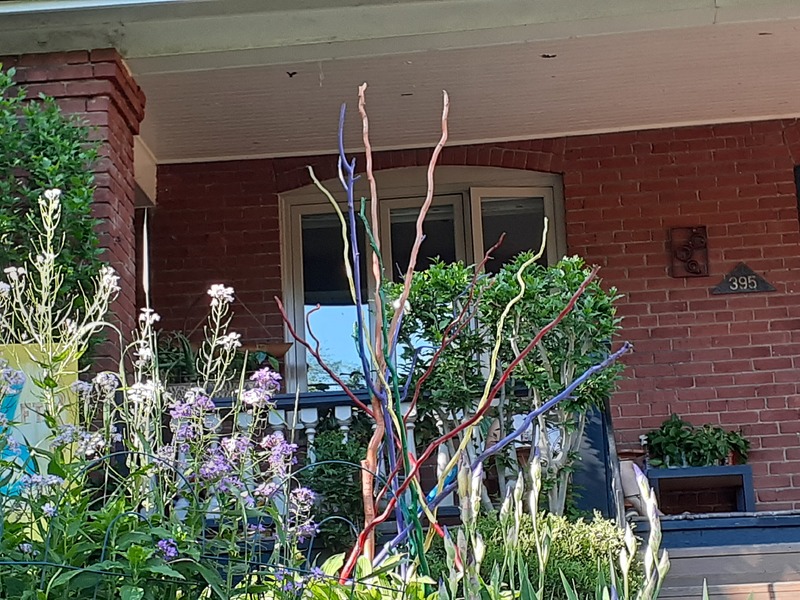 This is a picture taken of a group of flowering plants growing in a front yard. 