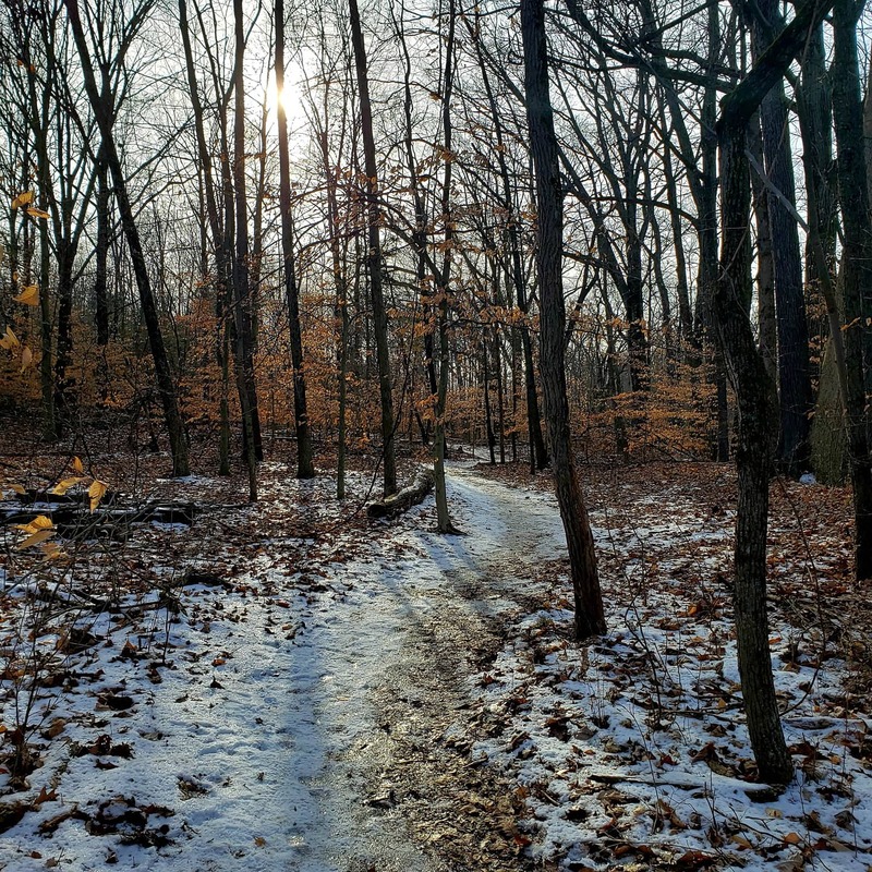 This is a photo of a path through the woods. There are many leaves on the ground covered with snow.