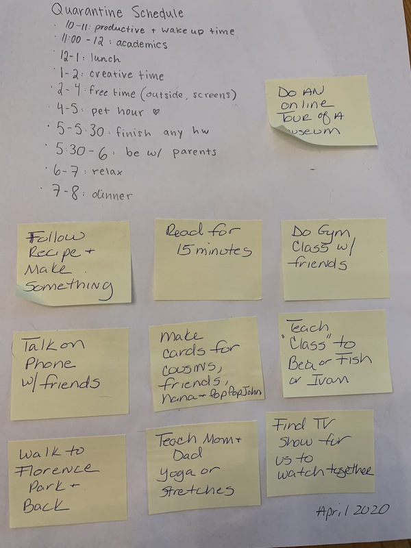 A daily quarantine schedule.