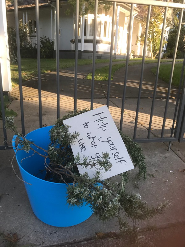 In front of a gate, there is a blue bucket full of rosemary that has a sign in it that says: Help yourself to what you like.
