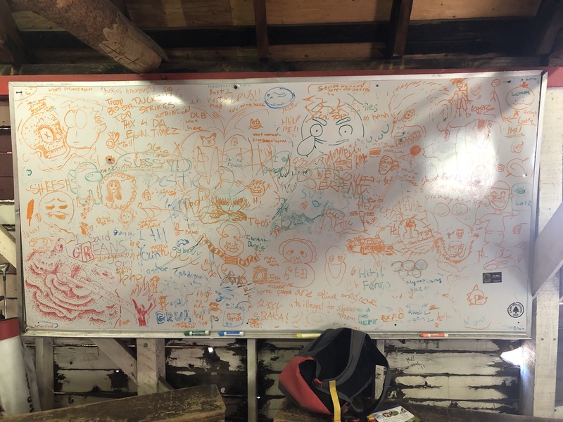 This is a picture taken of a whiteboard that has a large amount of different drawing on it in orange marker.