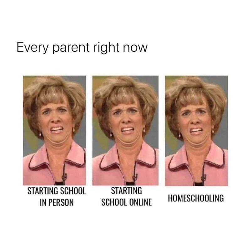 A reaction picture showing parent's dilemma in regards to in person and online schooling.