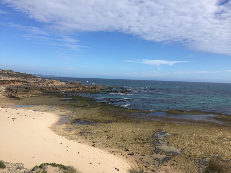 This is a picture taken of a sandy and rocky beach, and the ocean beyond it.