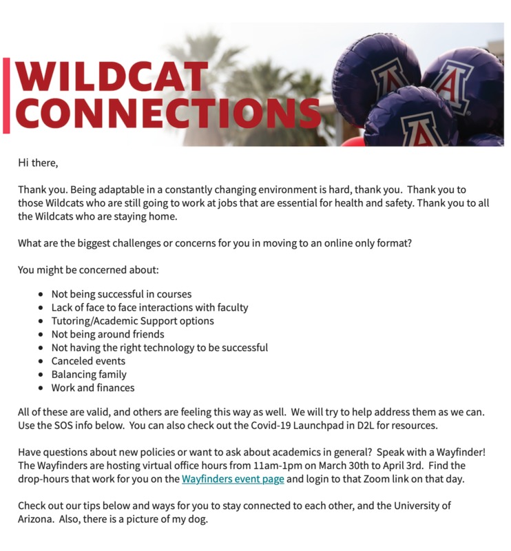 University of Arizona email titled, "Wildcat Connections." Summary of text in email screenshot discusses concerns of shifting to an online platform, validation of concerns, and ways in which to contact the university with further questions or concerns. Email concludes with text, "Check out our tips below and ways for you to stay connected to each other, and the University of Arizona. Also, there is a picture of my dog." Picture of the dog is not in email screenshot.