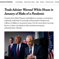 A screenshot of an article titled "Travel Advisor Warned White House in January of Risks of a Pandemic."