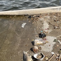 This is a picture of a boat ramp at a lake, which is littered with trash including a face mask, a dead fish, and a dead bird.