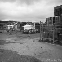 A fenced gate with construction trucks parked behind the gate.