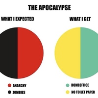 A pie graph meme showing two pie charts that have the words THE APOCALYPSE at the top. Above the left pie chart says: WHAT I EXPECTED and is showing a pie chart that is even split between anarchy and zombies. On the right above the other pie chart says WHAT I GET which shows another pie chart that is even split between home office and no toilet paper.