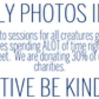 Ad for a family photo company.