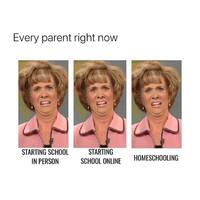 A reaction picture showing parent's dilemma in regards to in person and online schooling.