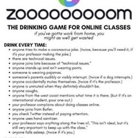 Zoom drinking game instructions.